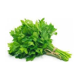 Coriander