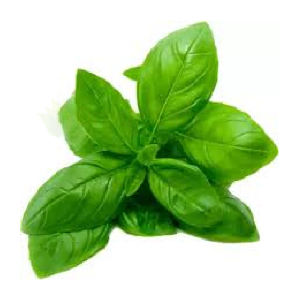 Basil 60gm pkt