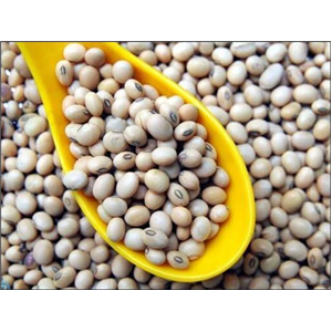 Soyabeans 500 gm