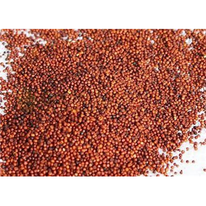 Ragi 500 gm