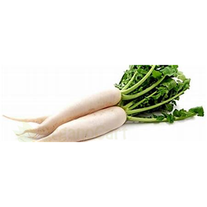 radish