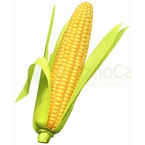 Deshi corn