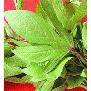 Ambadi
