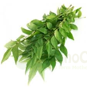 Curry Leaves