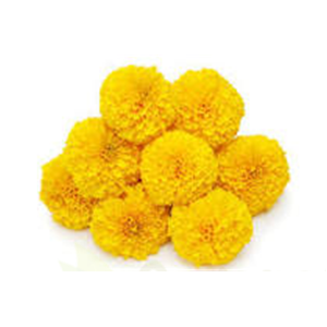 Marigold 1 kg