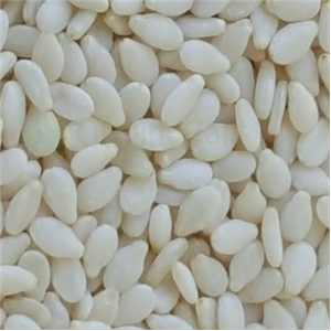 Sesame 125 gm