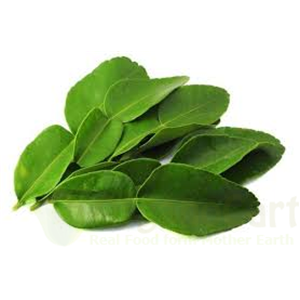 Kafir lime leaves 20gm