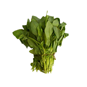 Chakwat